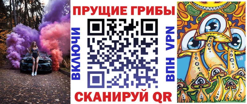 Псилоцибиновые грибы Magic Shrooms  где можно купить наркотик  гидра онион  Шлиссельбург 